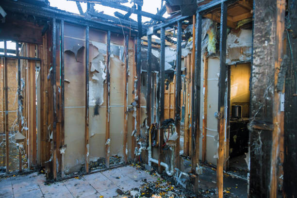 Professional Structural Rebuild technician working in Laurel, MD